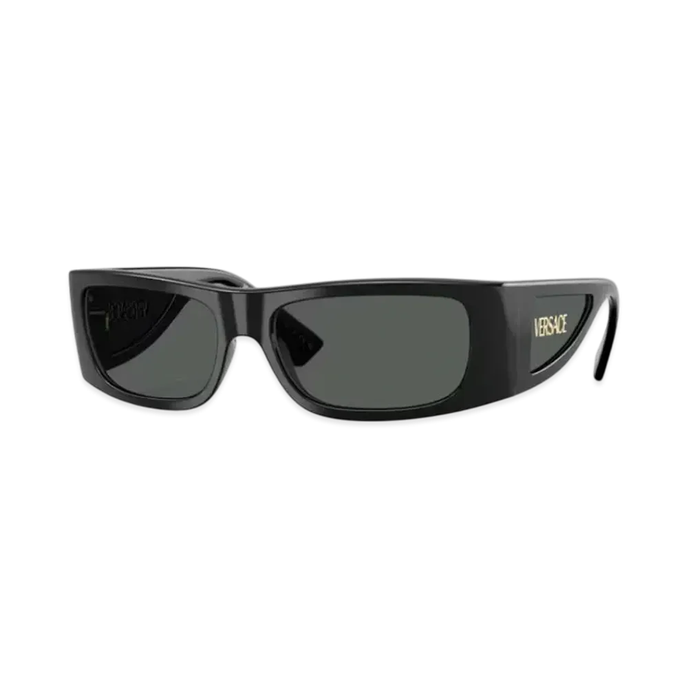 Versace Lens Logo Sunglasses "Black"