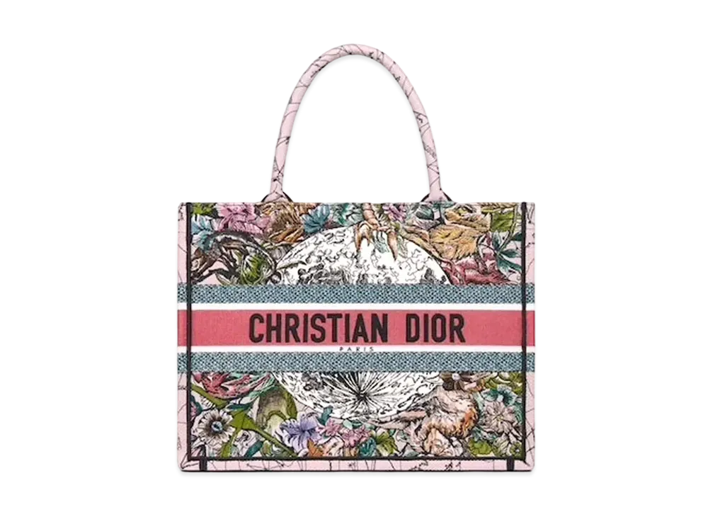 Dior Small Dior Book Tote Multicolor Dior Constellation Embroidery "Multicolor"