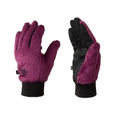 The North Face Versa Loft E-Tip Gloves "Boysenberry"
