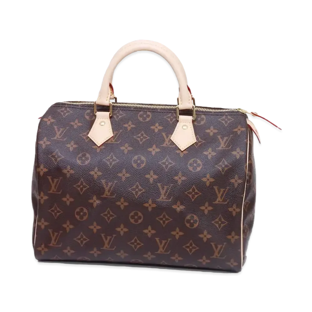 Louis Vuitton Speedy 30 Monogram