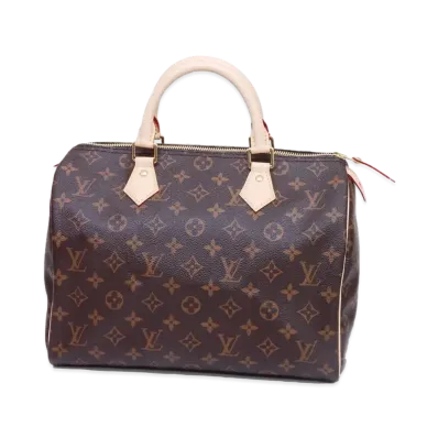 Louis Vuitton Speedy 30 Monogram