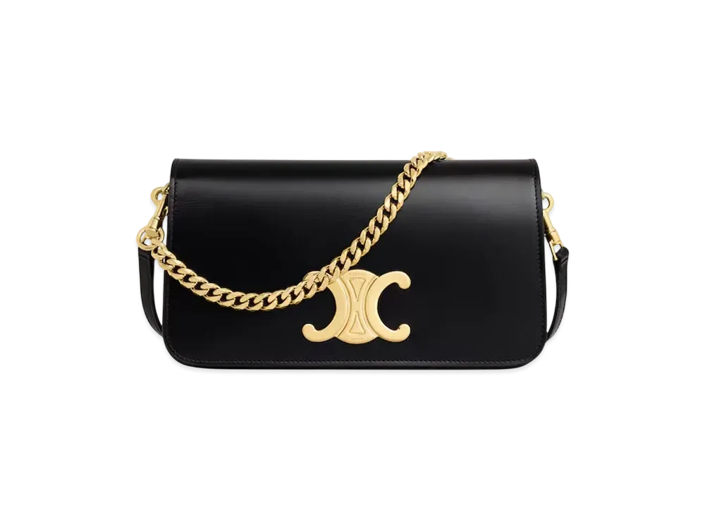 CELINE Multipochette in Shiny Calfskin "Black"