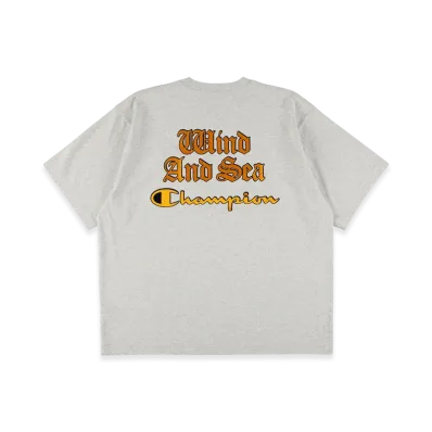 WIND AND SEA x Champion Print Tee "HeatherGray"