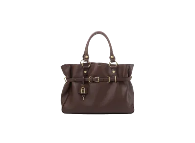 CELINE Medium Anita Bag "Chestnut"