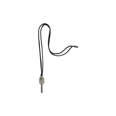 A BATHING APE Ape Head Key Necklace "Silver"