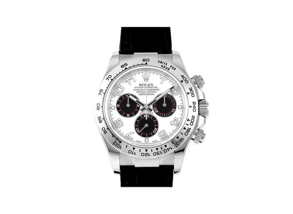 ROLEX Cosmograph Daytona "Panda/White Gold"