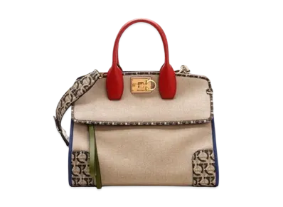 Salvatore Ferragamo Studio Bag (M) "Multicolor"