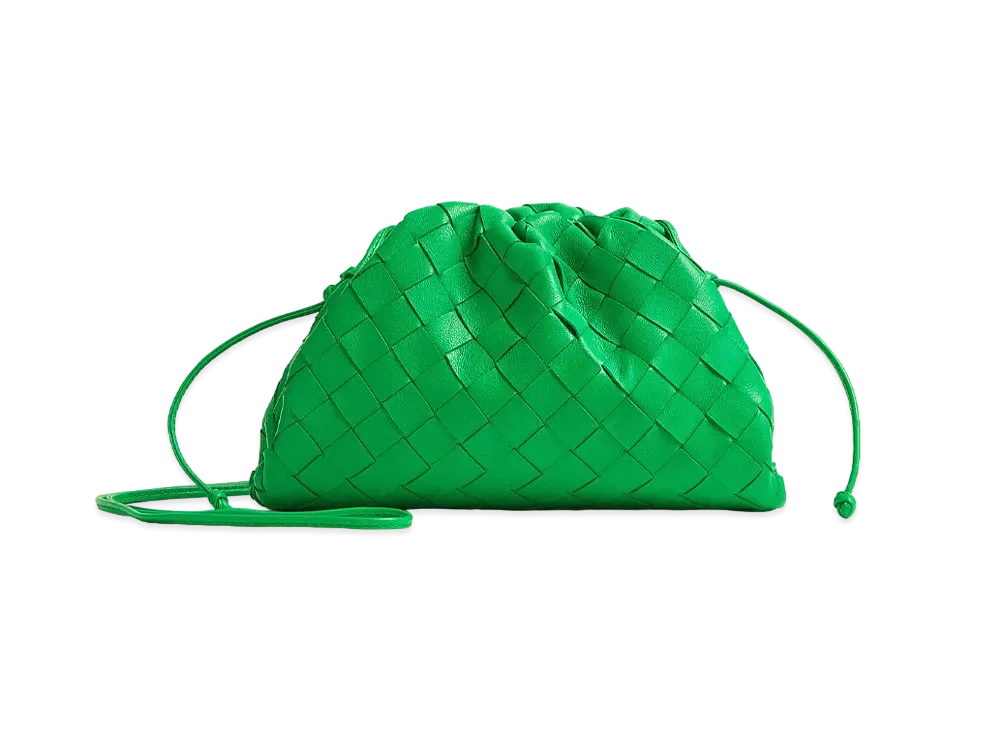 Bottega Veneta Mini Pouch "Parakeet"