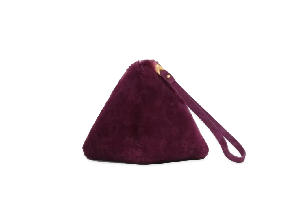 Bottega Veneta Pouch "Mystic"