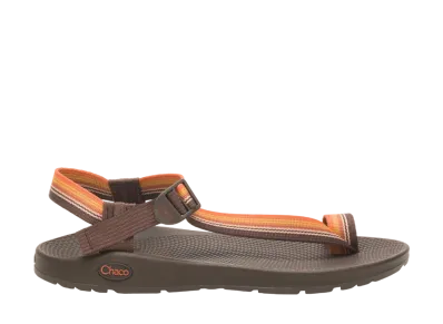 CHACO Bodhi "Belt Java" 12366169