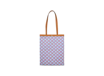 CELINE Women's Capsule Bags "Clear Blue"