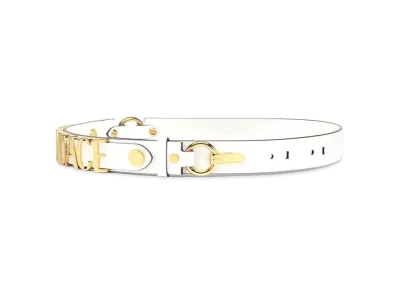 FENDI x Versace Fendace Logo Belt "White"