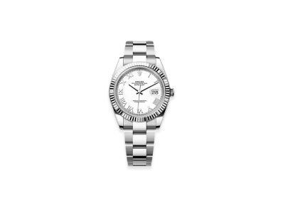 ROLEX Sky-Dweller Oystersteel & White Gold "White"