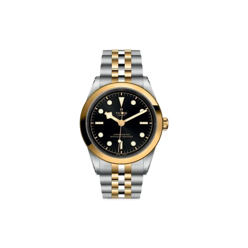 TUDOR BLACK BAY 41 S&G