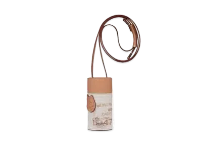 Dior x Cactus Jack Roller Nano Pouch "Coffee Brown"