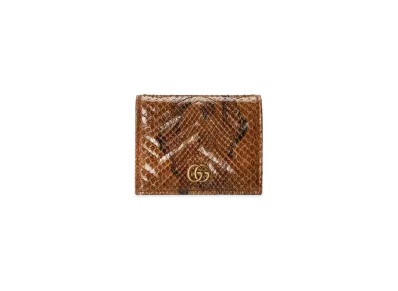 GUCCI GG Marmont Python Card Case Wallet "Brown"