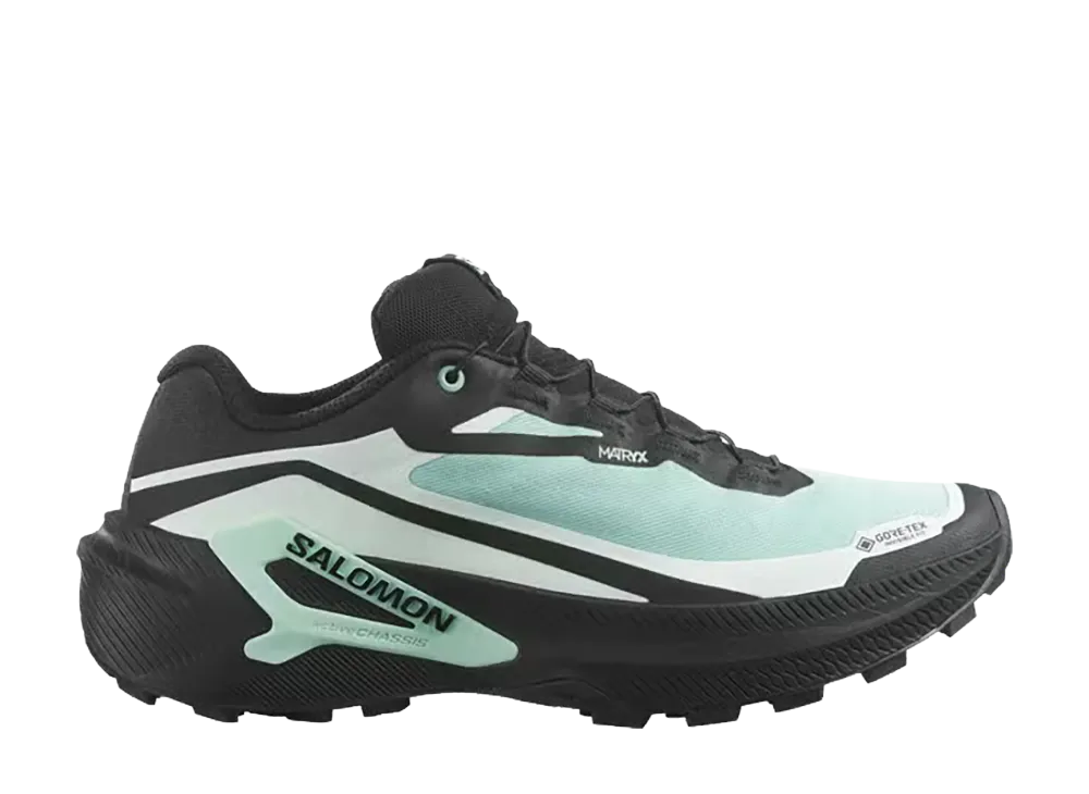 Salomon Women's Genesis 2 GORE-TEX "Lichen/Black"