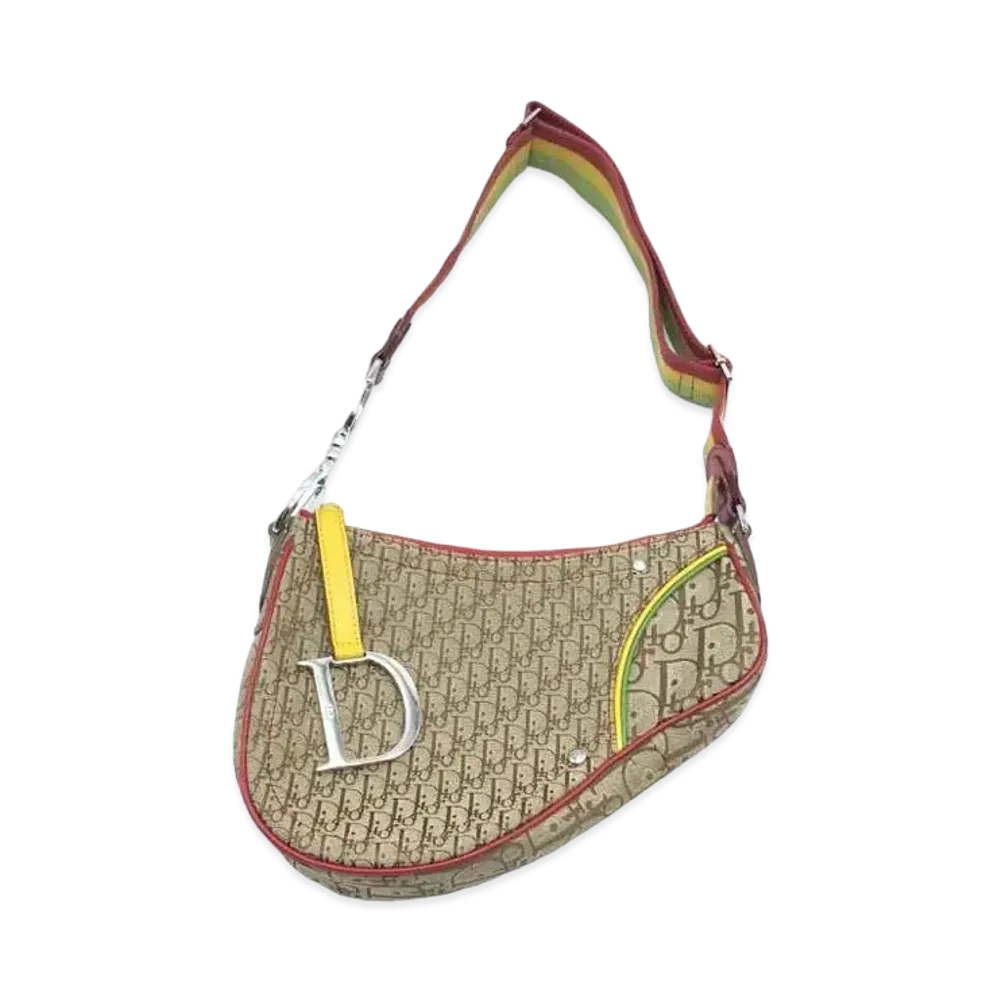 Dior Trotter Rasta Shoulder Bag