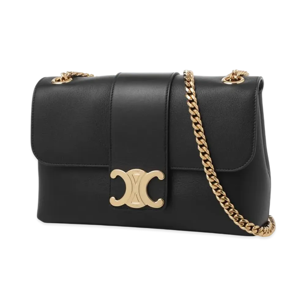 CELINE Medium Victoire Bag "Black"