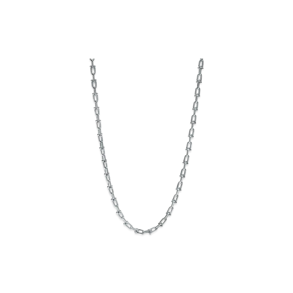 Tiffany & Co. Tiffany HardWear Small Link Necklace "Silver"