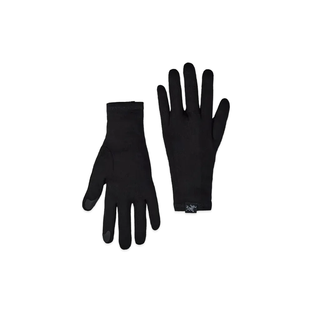 ARC'TERYX Gothic Gloves X000006539 "Black"