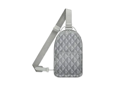Dior Rider Mini Backpack CD Diamond Canvas "Gray"