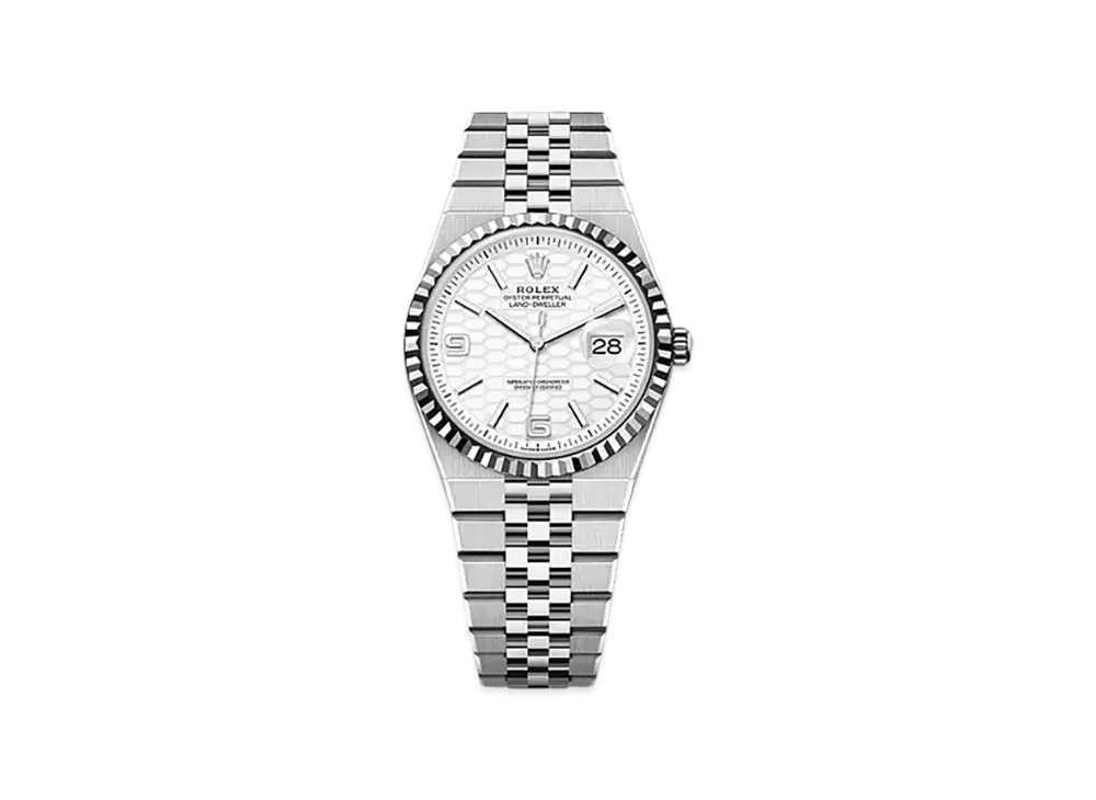 ROLEX Land-Dweller 36mm Oystersteel & White Gold 127234 "Intense White"