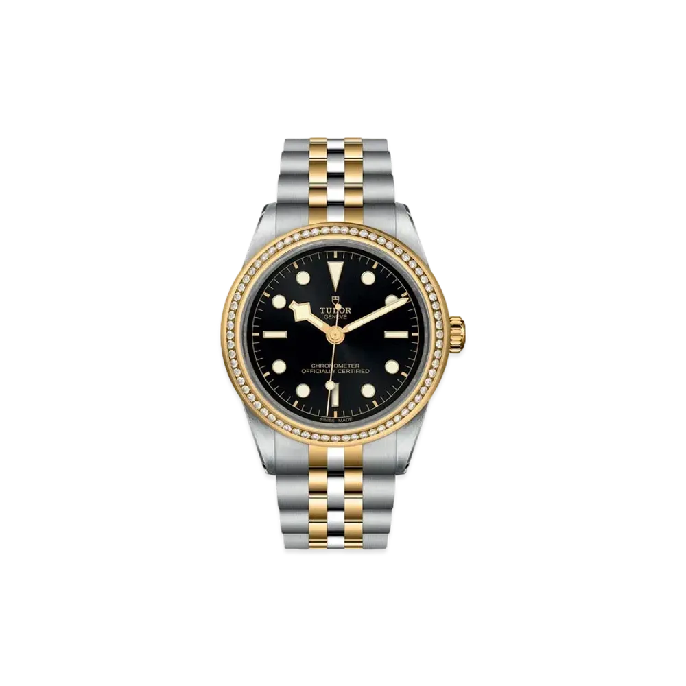 TUDOR BLACK BAY 39 S&G
