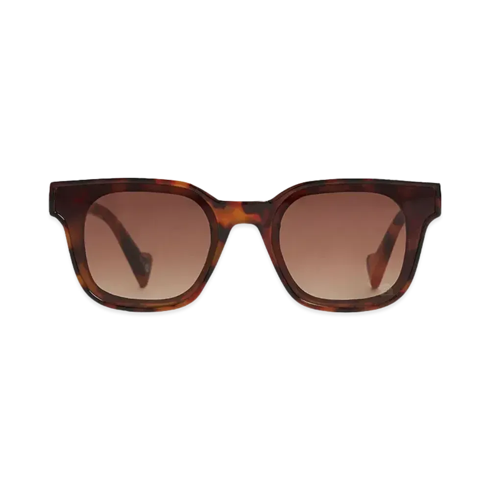 SZADE ELLIS "Pinta Tort/Hustler Brown"