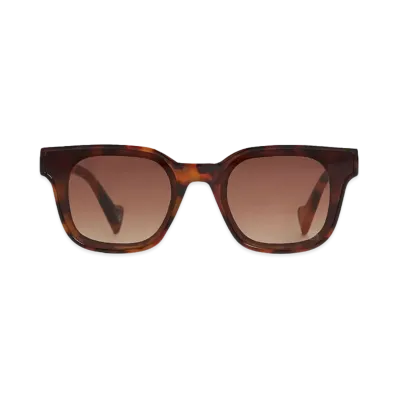 SZADE ELLIS "Pinta Tort/Hustler Brown"