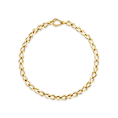 Bottega Veneta Fin Chain Necklace "Yellow Gold"