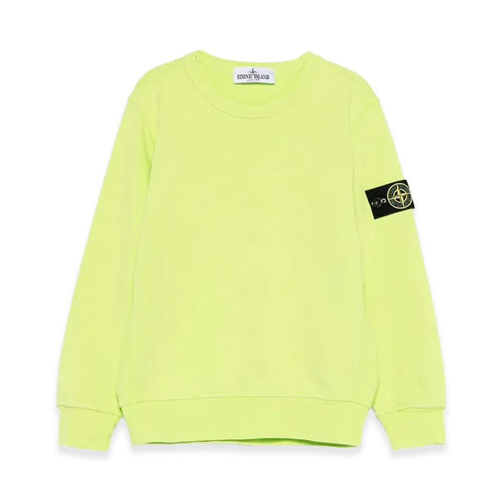Stone Island Kids Gauze Cat Sweatshirt "Green"