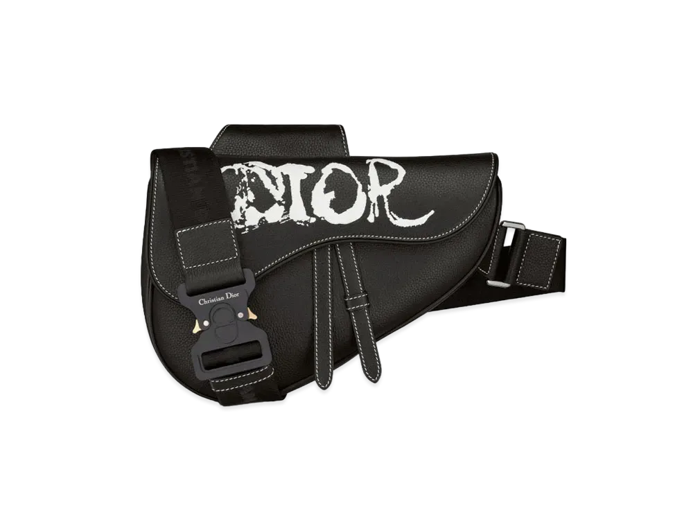 Dior Saddle Bag Dior And Peter Doig Grained Calfskin "Black"