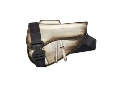Dior Saddle Bag Calfskin "Silver Tone"