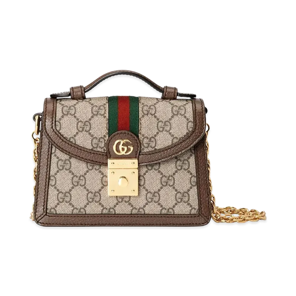 GUCCI Women's Bags "Printed/Brown"