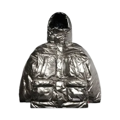 Supreme GORE TEX 700 Fill Down Parka "Silver"