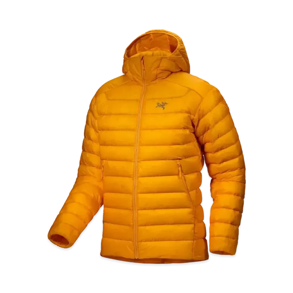 ARC'TERYX Cerium Hoody Men's X000007853 "Edziza"