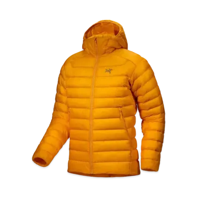 ARC'TERYX Cerium Hoody Men's X000007853 "Edziza"