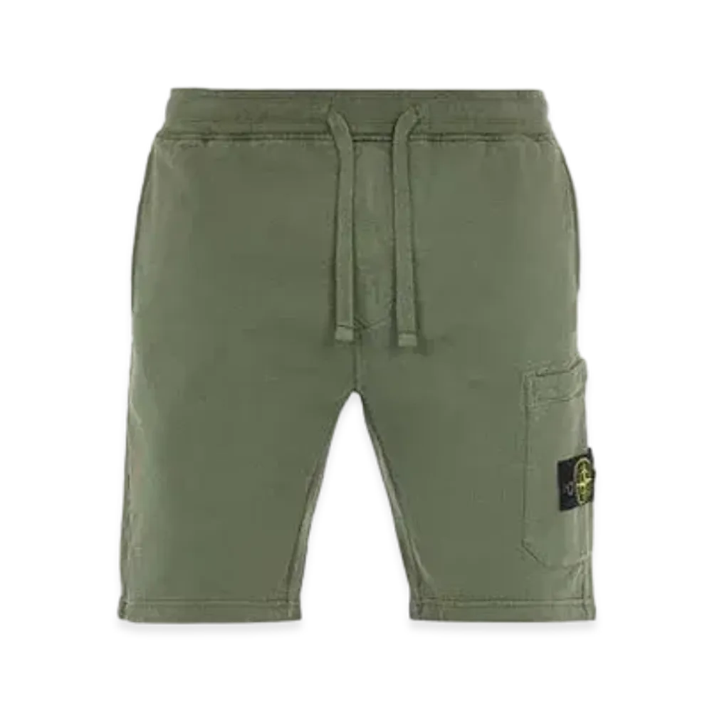 Stone Island 64620 BRUSHED COTTON FLEECE_REGULAR FIT "Sage Green"