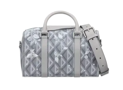 Dior Lingot 26 Bag CD Diamond Canvas Lily Of The Valley Embroidery "Gray"