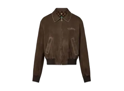 Tyler, The Creator x Louis Vuitton Embroidered Suede Calfskin Bomber "Brown"