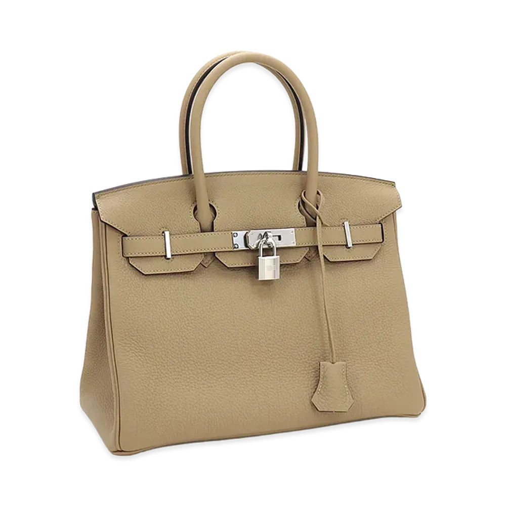 Hermes Women's Birkin 30cm Togo Handbag "Poussiere"