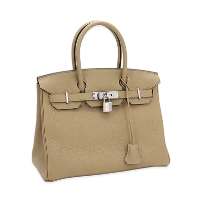 Hermes Women's Birkin 30cm Togo Handbag "Poussiere"
