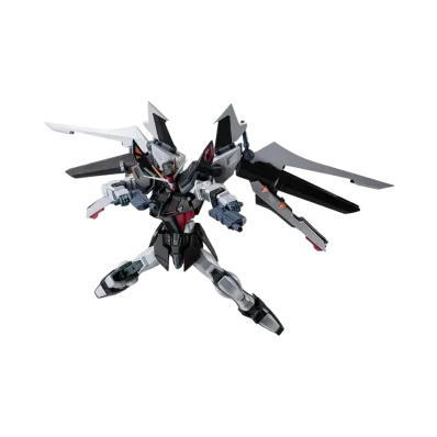 BANDAI "THE ROBOT SPIRITS" -Mobile Suit Gundam Seed CE73 -STARGAZER-- <SIDE MS> GAT-X105E+AQM/E-X09S STRIKE NOIR Gundam ver. A.N.I.M.E.
