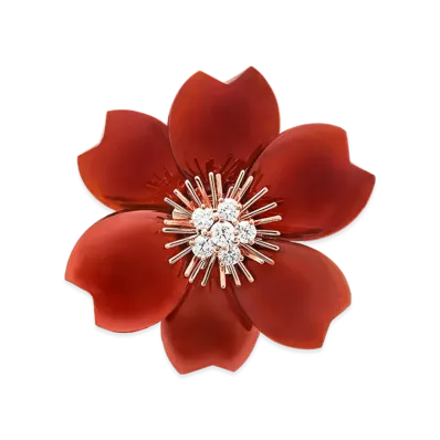 Van Cleef & Arpels Rose de Noel clip medium model "18K Rose gold/Carnelian/Diamond"