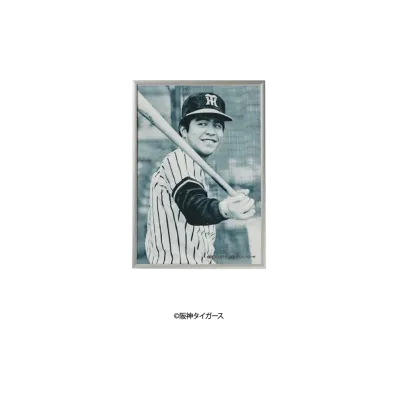 阪神タイガース90周年記念 \ SANKEI SPORTS TIGERS LEGENDS Photo Frame A3 ver. No.1 "MULTI"