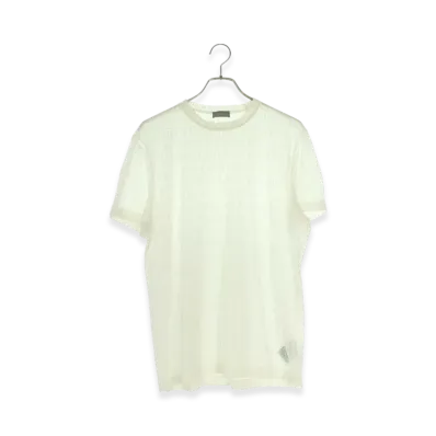 Dior HOMME See-through Logo Short Sleeve T-Shirt "White"