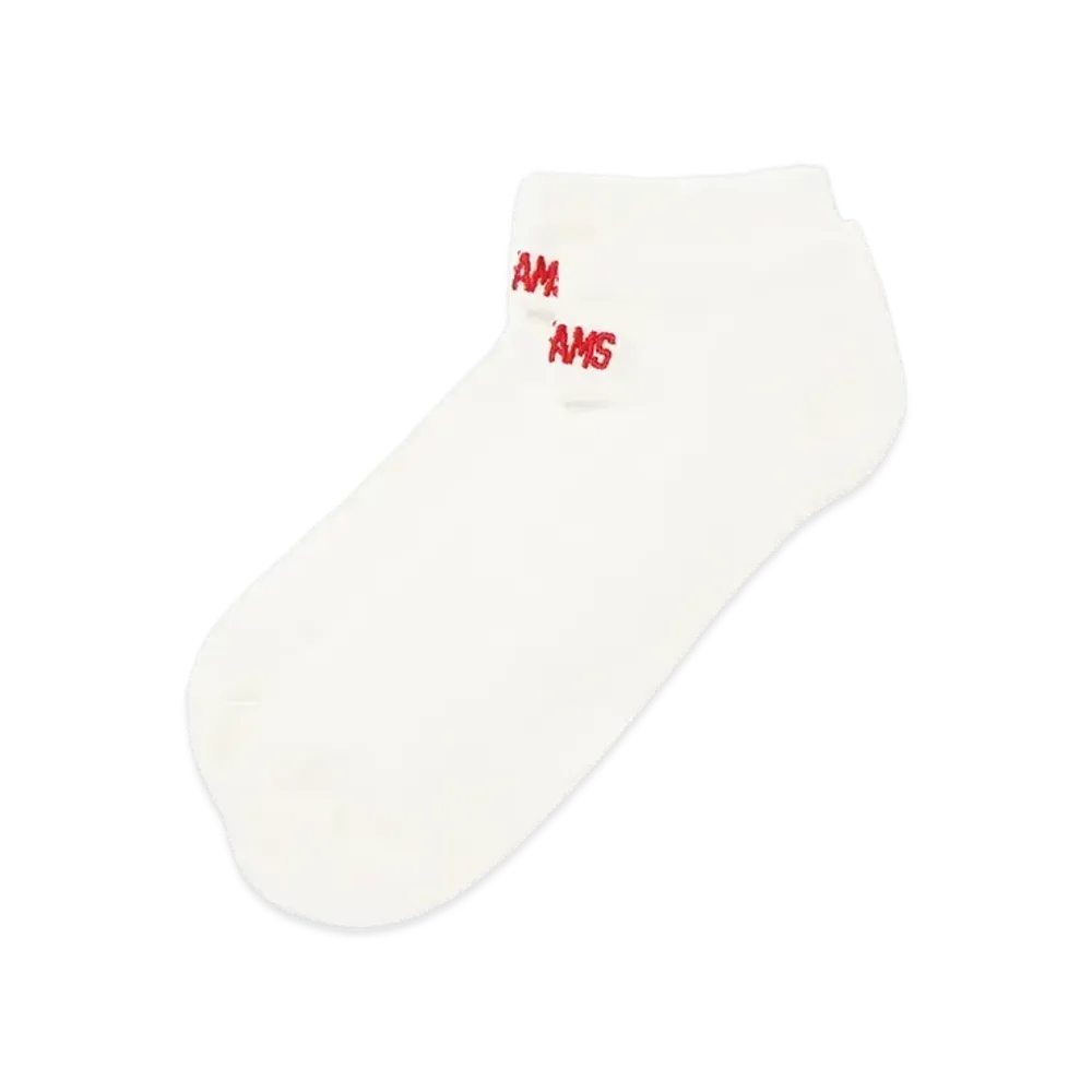 ANDFAMILYS Sports Mesh Socks 2pc - Low - "WH"