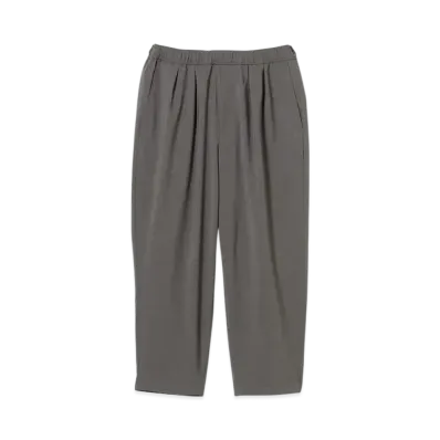 BEAMS Dry 2 Pleat Easy Pants "Gray"