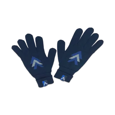 Louis Vuitton Gon Triple V Gloves "Navy"